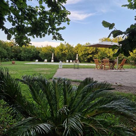 Agriturismo Terre Di Nelio Vignanello Eksteriør billede