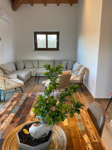 Agriturismo Terre Di Nelio Vignanello Eksteriør billede